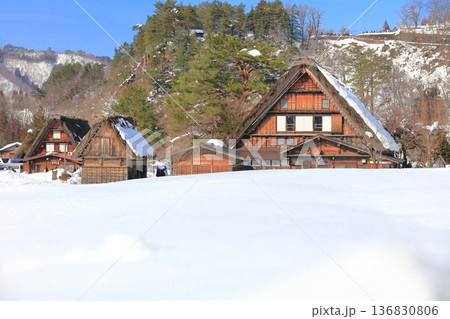 【岐阜県】快晴の白川郷の雪景色（和田家） 136830806