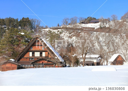 【岐阜県】快晴の白川郷の雪景色（和田家） 136830808