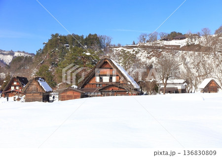 【岐阜県】快晴の白川郷の雪景色（和田家） 136830809