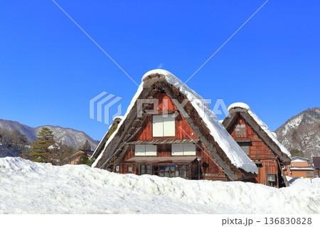 【岐阜県】快晴の白川郷の雪景色 136830828