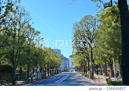 日曜朝の恵比寿駅前　東京 136830857