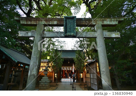 夕暮れの赤坂氷川神社　東京 136830940