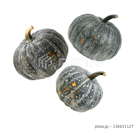 Assorted green and orange pumpkins scattered in a seamless pattern isolated on white background Assorted green and orange pumpkins scattered in a seamless pattern isolated on white background 136831127
