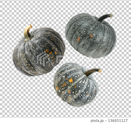 Assorted green and orange pumpkins scattered in a seamless pattern isolated on white background 136831127