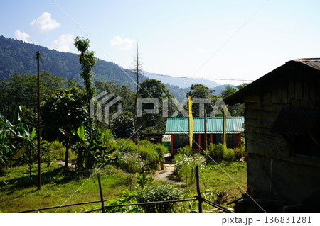 Rural Himalayan Cottage Nestled in Lush Green Mountainside Garden 136831281