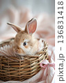 Cute holiday rabbit placed in wicker basket with light pink pastel aesthetic 136831418