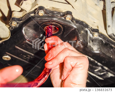 Oil change in automatic transmission. Filling the oil through the hose. Car maintenance station. Red gear oil. The hands of the car mechanic in oil Oil change in automatic transmission. Filling the oil through the hose. Car maintenance station. Red gear oil. The hands of the car mechanic in oil 136831673