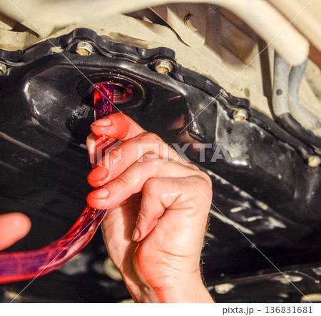 Oil change in automatic transmission. Filling the oil through the hose. Car maintenance station. Red gear oil. The hands of the car mechanic in oil 136831681