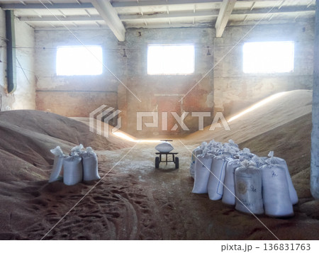 Heap of grains of barley and wheat in stock 136831763