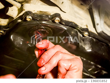 Oil change in automatic transmission. Filling the oil through the hose. Car maintenance station. Red gear oil. The hands of the car mechanic in oil 136831852