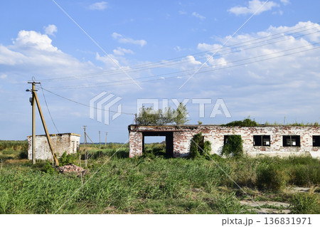 The ruins of the old farm. Cones column base of the wall. Abandoned and ruined buildings 136831971