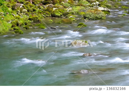 苔むした岩と清流の風景 136832166