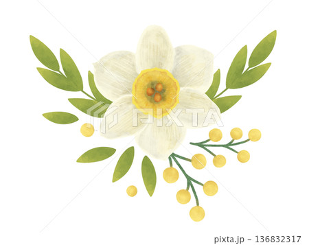 Daffodil flower, composition with green and yellow twigs, leaves in a flat style. Watercolor, pastel, gouache. For product design, prints, textiles 136832317