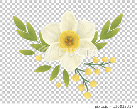 Daffodil flower, composition with green and yellow twigs, leaves in a flat style. Watercolor, pastel, gouache. For product design, prints, textiles 136832317