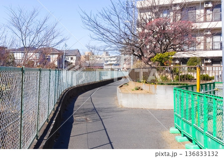 千葉県松戸市松戸駅周辺2026年2月 千葉県松戸市松戸駅周辺2026年2月 136833132