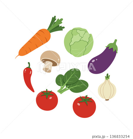 Fresh colorful vegetables collection with carrot cabbage eggplant tomato mushroom onion and chili vector illustration 136833254