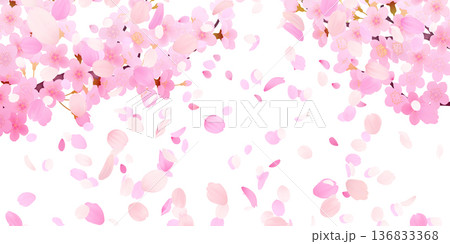 花びら舞い散る桜の背景素材 花びら舞い散る桜の背景素材 136833368