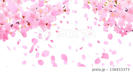 花びら舞い散る桜の背景素材 花びら舞い散る桜の背景素材 136833373