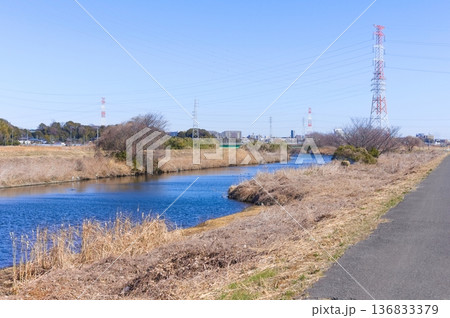 千葉県柏市大場川2026年2月 千葉県柏市大場川2026年2月 136833379