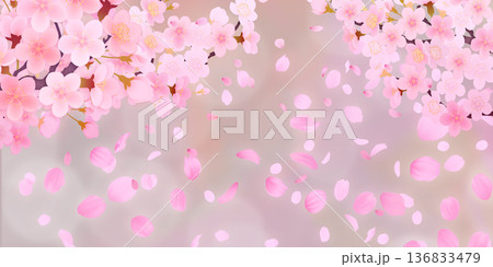 花びら舞い散る桜の背景素材 花びら舞い散る桜の背景素材 136833479