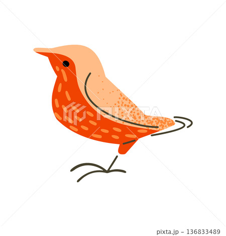 Stylized Orange Bird Illustration 136833489