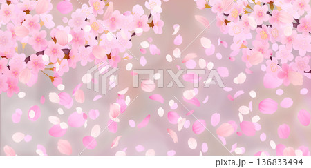 花びら舞い散る桜の背景素材 花びら舞い散る桜の背景素材 136833494