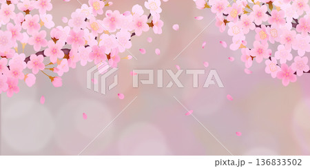 花びら舞い散る桜の背景素材 136833502