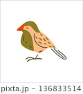 Stylized Flat Bird Illustration 136833514