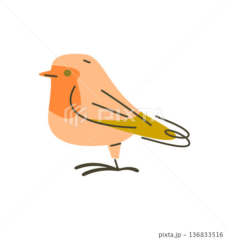 Flat Bird With Orange Chest Flat Bird With Orange Chest 136833516