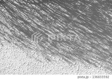 白い壁に映る木の葉の影、葉のシルエット 白い壁に映る木の葉の影、葉のシルエット 136833592