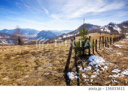 rural landscape of carpathian mountains in early spring under blue sky. snow covered hill with barbed wire fence on a sunny day. green environment sustainability and protection. background for earth rural landscape of carpathian mountains in early spring under blue sky. snow covered hill with barbed wire fence on a sunny day. green environment sustainability and protection. background for earth 136833611
