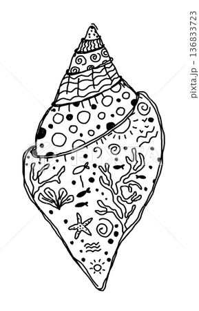 Hand drawn illustration of seashell with underwater elements 136833723