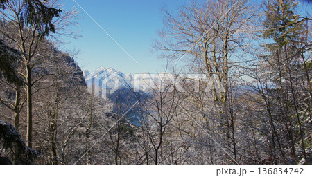 Mountains and trees with snow in a clear blue sky during winter near a lake in the afternoon 136834742