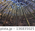 山 136835025