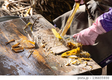 サマルカンドペーパー工房の桑の皮の加工 136835930