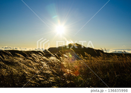 ススキの原から見る夕日　天狗高原 136835998