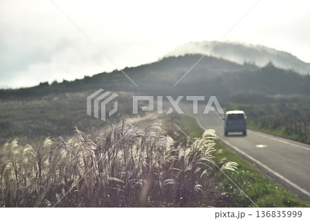 ススキのある道をドライブ　四国カルスト 136835999