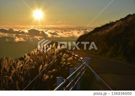 雲海に沈む太陽　四国カルスト 136836000
