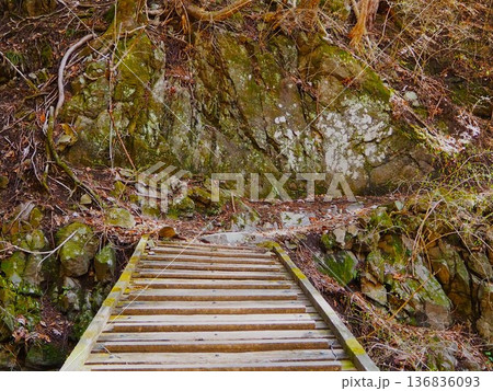 川乗山の橋 川乗山の橋 136836093