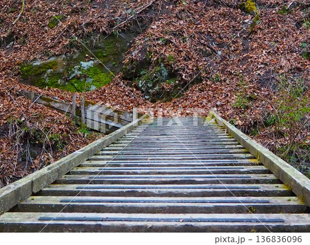 川乗山の橋 川乗山の橋 136836096