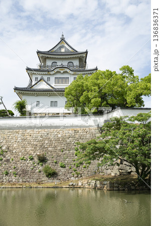 岸和田城の天守と石垣 136836371