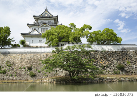 岸和田城の天守と石垣 136836372