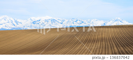 穏やかな春の北海道美瑛町の畑の模様が綺麗な丘の上の風景 136837042
