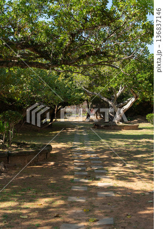 晴れた日で木々が茂り木漏れ日のある歩行用の石を並べた居心地の良い公園 136837146