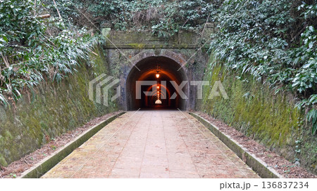 明治のトンネル 明治宇津ノ谷隧道 明治のトンネル 明治宇津ノ谷隧道 136837234