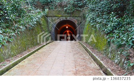 明治のトンネル 明治宇津ノ谷隧道 明治のトンネル 明治宇津ノ谷隧道 136837235