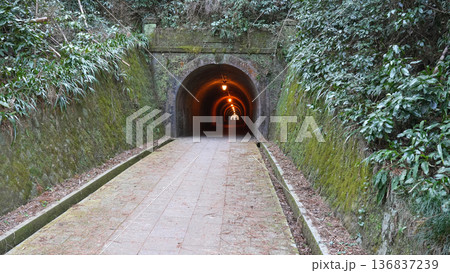 明治のトンネル 明治宇津ノ谷隧道 明治のトンネル 明治宇津ノ谷隧道 136837239