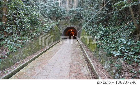 明治のトンネル　明治宇津ノ谷隧道 136837240
