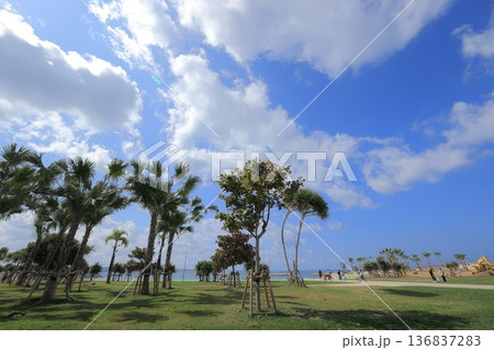 沖縄サンセットビーチの風景 136837283