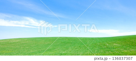 爽やかな青空となだらかな丘陵帯の北海道美瑛町の初夏の風景 爽やかな青空となだらかな丘陵帯の北海道美瑛町の初夏の風景 136837307